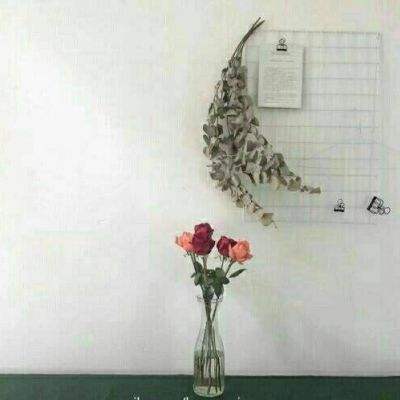 艾泽拉斯怀旧游戏下载